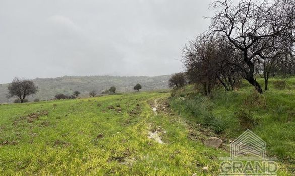 Field - G5362 - photo-1