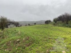 Field - G5362 - photo-4