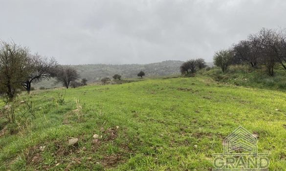 Field - G5362 - photo-4