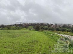 Field - G5362 - photo-5