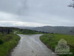 Field - G5362 - photo-6