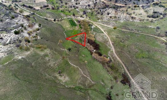 Field - G5395 - photo-9