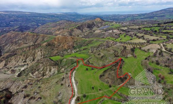 Field - G7145 - photo-2