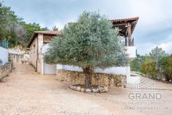 House - G8012 - photo-15
