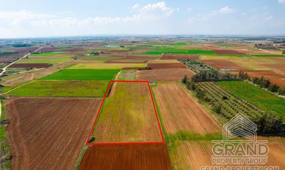 Field - G7629 - photo-2