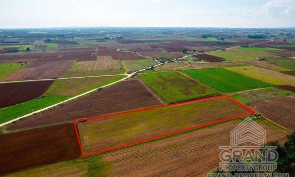 Field - G7629 - photo-3