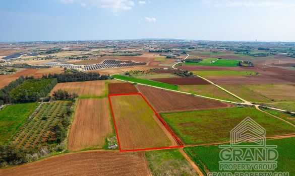 Field - G7629 - photo-4
