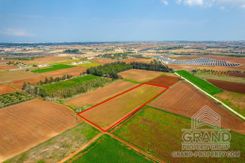 Field - G7629 - photo-5