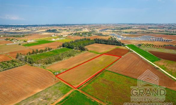 Field - G7629 - photo-5