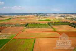 Field - G7629 - photo-1