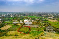 Field - G8156 - photo-1