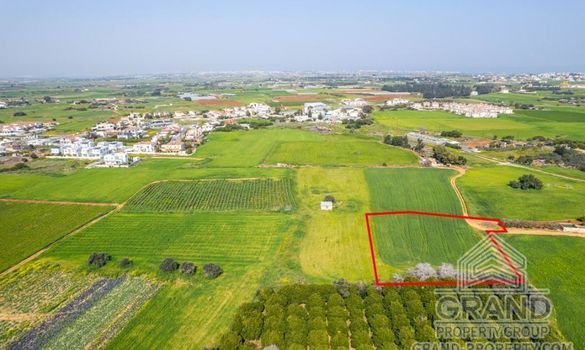 Field - G7873 - photo-3