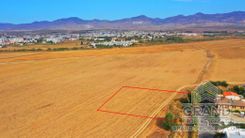 Field - G6635 - photo-2