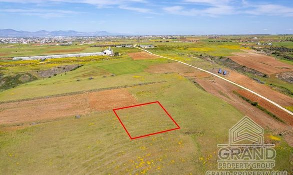 Field - G8273 - photo-2