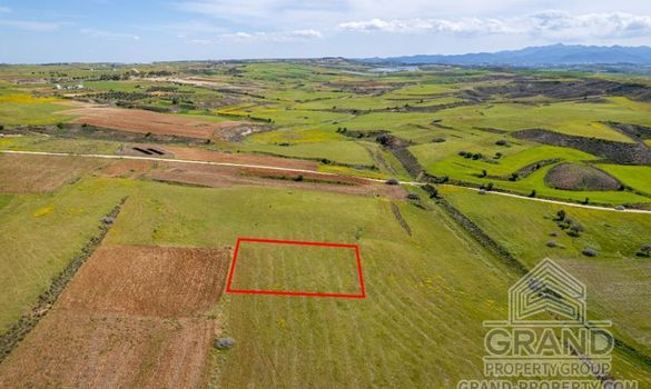 Field - G8273 - photo-3