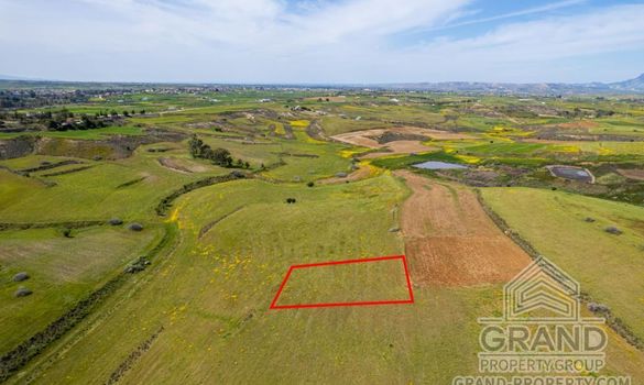 Field - G8273 - photo-6