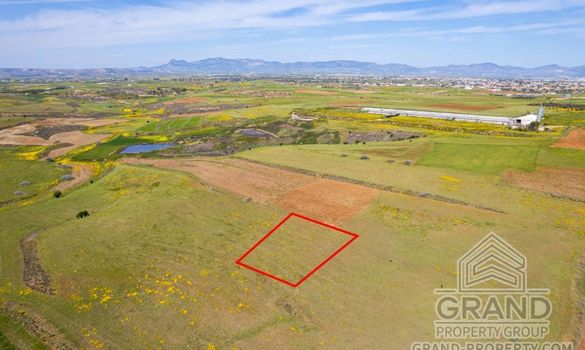 Field - G8273 - photo-7