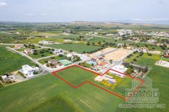 Field - G8222 - photo-1