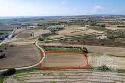 Field - G6958 - photo-3