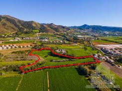 Field - G6057 - photo-3