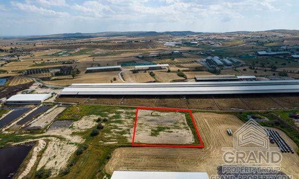 Field - G8881 - photo-1