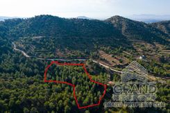 Field - G8934 - photo-3