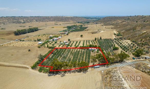 Field - G8932 - photo-2