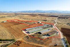 Field - G8259 - photo-1