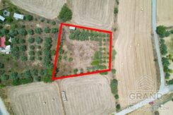 Field - G9148 - photo-1