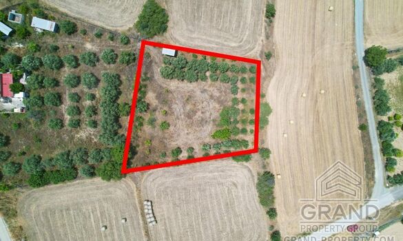 Field - G9148 - photo-1