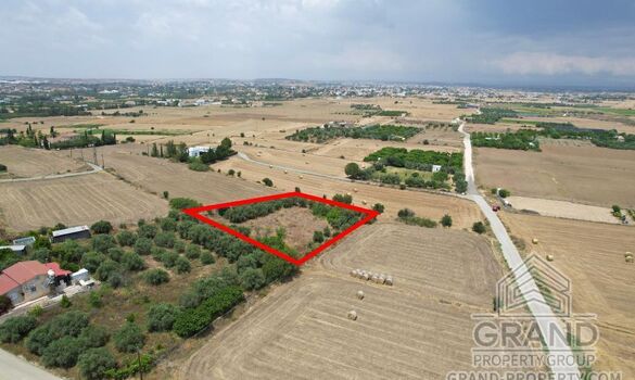 Field - G9148 - photo-2