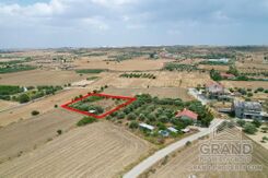Field - G9148 - photo-3