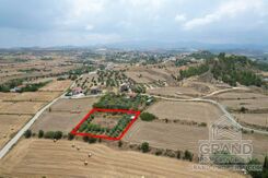 Field - G9148 - photo-4