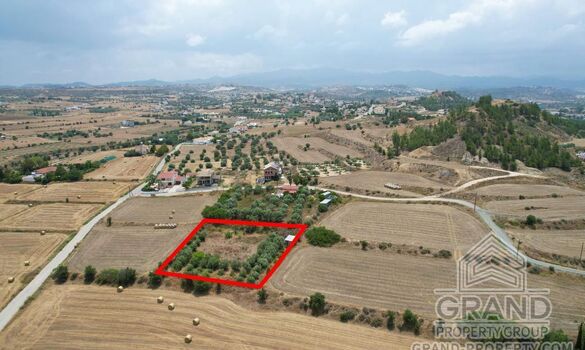 Field - G9148 - photo-4