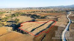 Field - G8876 - photo-1