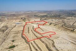 Field - G7979 - photo-2