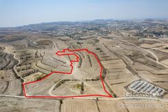 Field - G7979 - photo-3