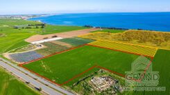 Field - G9710 - photo-2
