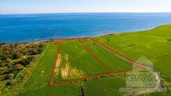 Field - G9688 - photo-1