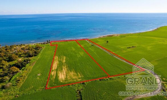Field - G9688 - photo-1