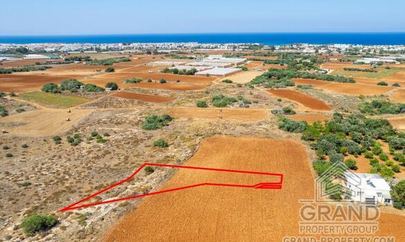 Field - G9577 - photo-1