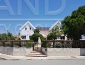  Business or Investment in Limassol