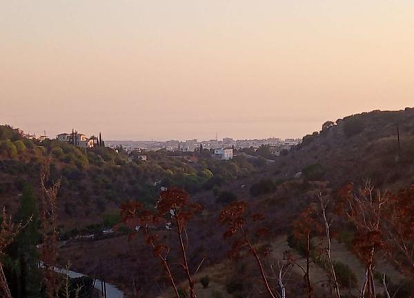  Land in Paphos