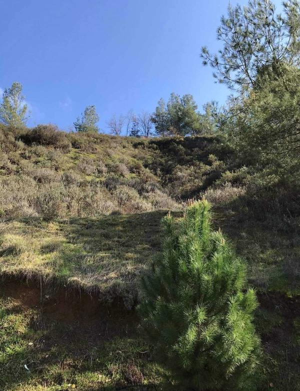  Land in Nicosia