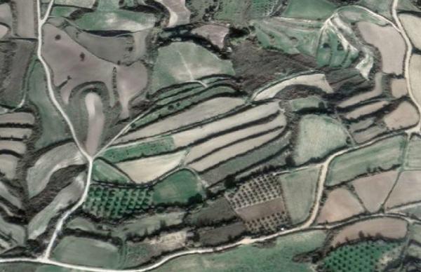  Land in Paphos