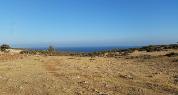  Land in Limassol