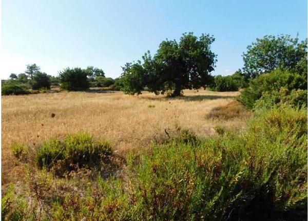  Land in Limassol