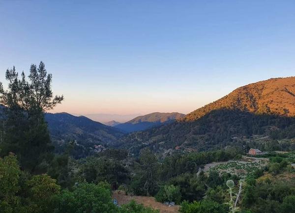  Land in Nicosia