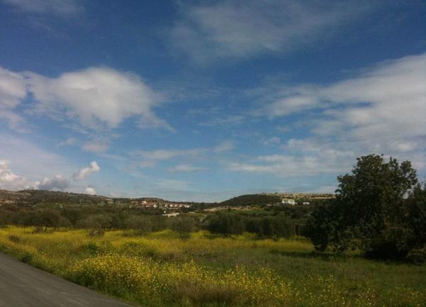  Land in Larnaca