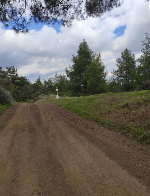  Land in Nicosia